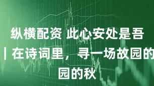 纵横配资 此心安处是吾乡｜在诗词里，寻一场故园的秋